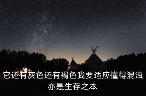 它還有灰色還有褐色我要適應(yīng)懂得混濁亦是生存之本