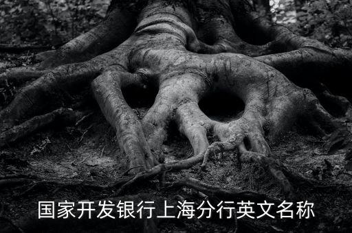 國家開發(fā)銀行上海分行英文名稱
