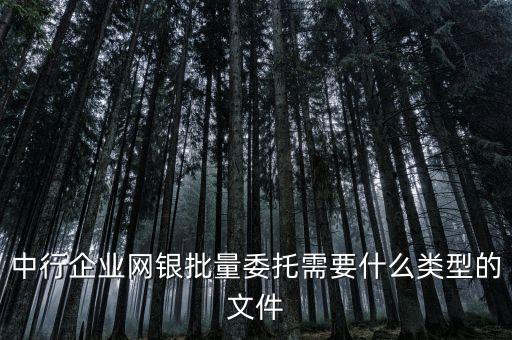 中行企業(yè)網(wǎng)銀批量委托需要什么類型的文件
