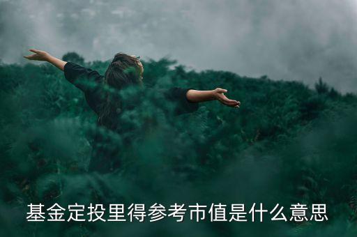 基金的參考市值是什么，基金定投里得參考市值是什么意思