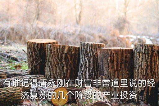 唐永剛最看好什么股，我想請問下一些行家最近看好哪一只股