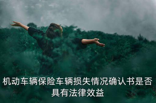 機(jī)動(dòng)車輛保險(xiǎn)車輛損失情況確認(rèn)書是否具有法律效益