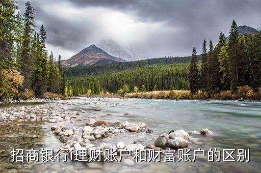 招商銀行i理財(cái)賬戶(hù)和財(cái)富賬戶(hù)的區(qū)別