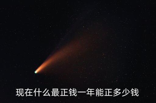 現(xiàn)在什么最正錢(qián)一年能正多少錢(qián)
