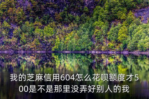 芝麻花唄為什么我才500，為什么我的花唄額度只有500