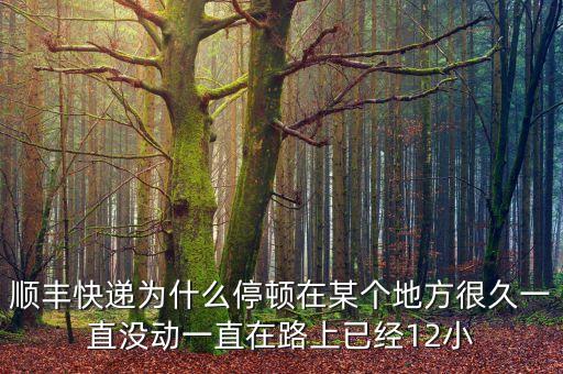 順豐快遞為什么停頓在某個地方很久一直沒動一直在路上已經(jīng)12小