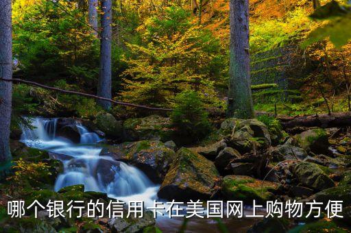 哪個銀行的信用卡在美國網(wǎng)上購物方便