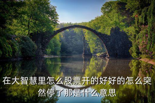 在大智慧里怎么股票開(kāi)的好好的怎么突然停了那是什么意思