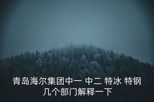 海爾內(nèi)銷是什么意思，有帶鎖的冰箱么冷藏冷凍功能都要有的謝謝