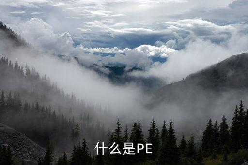 什么是PE