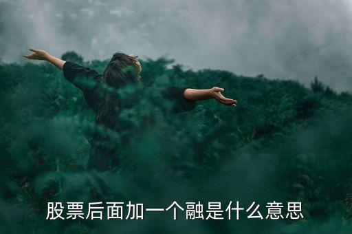 什么是一融雙新，股票后面加一個融是什么意思