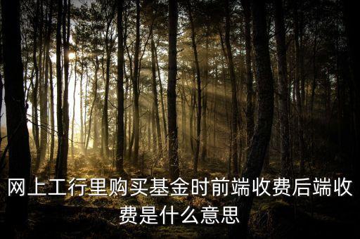 網(wǎng)上工行里購(gòu)買基金時(shí)前端收費(fèi)后端收費(fèi)是什么意思