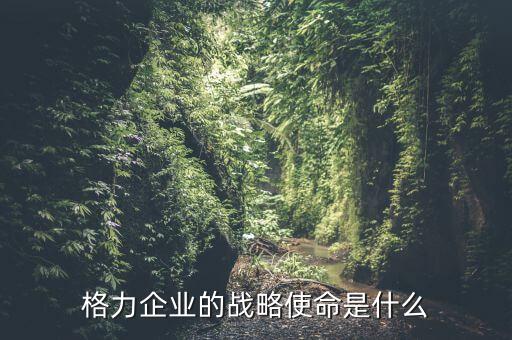 格力企業(yè)的戰(zhàn)略使命是什么