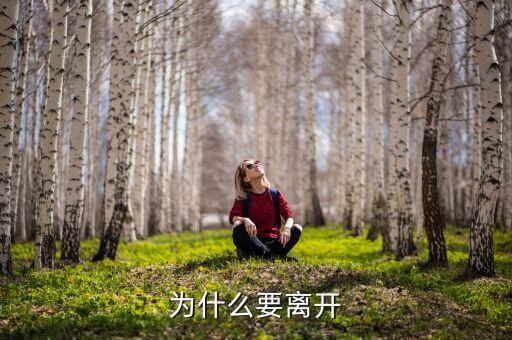 為什么要離開