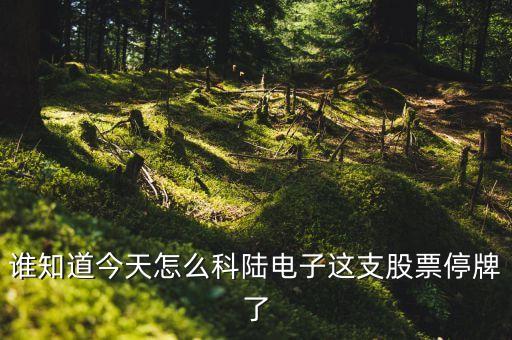 誰(shuí)知道今天怎么科陸電子這支股票停牌了