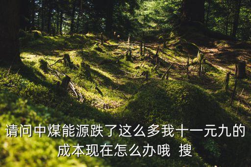 請(qǐng)問(wèn)中煤能源跌了這么多我十一元九的成本現(xiàn)在怎么辦哦  搜