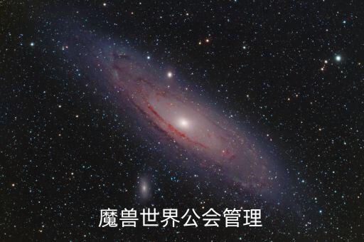什么是雙ceo制，PIS可以把BURNING趕跑C位試問還有誰可以做到