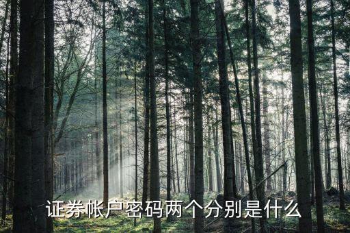 證券帳戶密碼兩個分別是什么