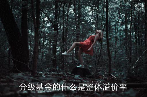 分級(jí)基金溢價(jià)是什么意思，為什么分級(jí)基金有溢價(jià)或者折價(jià)