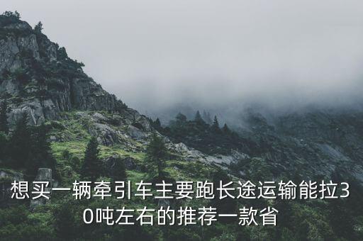 二十噸跑長途什么車好，拉20多噸的貨車哪種車好