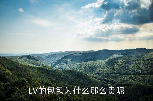 LV的包包為什么那么貴呢
