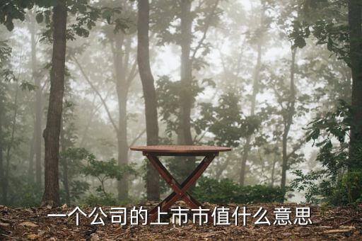 一個(gè)公司的上市市值什么意思