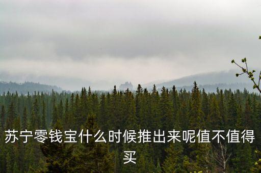 零錢(qián)寶什么時(shí)候上線(xiàn)的，蘇寧零錢(qián)寶什么時(shí)候推出來(lái)呢值不值得買(mǎi)