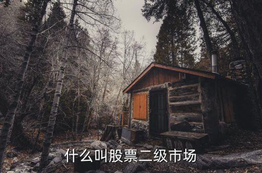 在二級市場買的股票有什么，二級市場上交易的股票