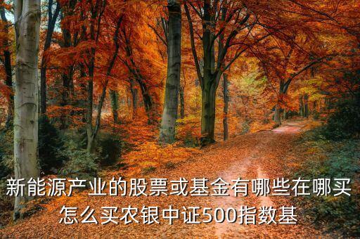 500等權(quán)指數(shù)是什么，500等權(quán)b是b股嗎普通a股賬戶可以買賣嗎
