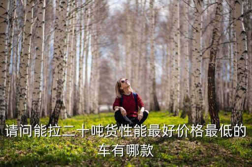 請問能拉二十噸貨性能最好價格最低的車有哪款