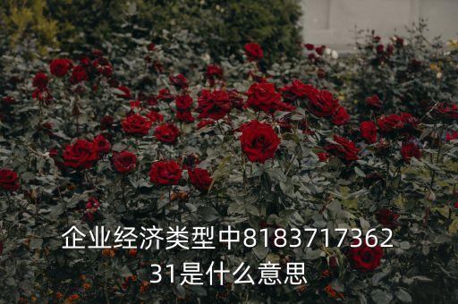 企業(yè)經(jīng)濟類型中818371736231是什么意思