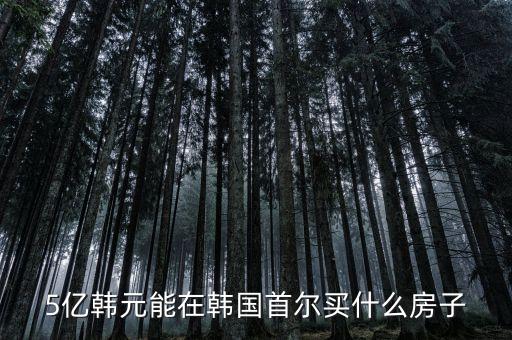 5億韓元能在韓國首爾買什么房子