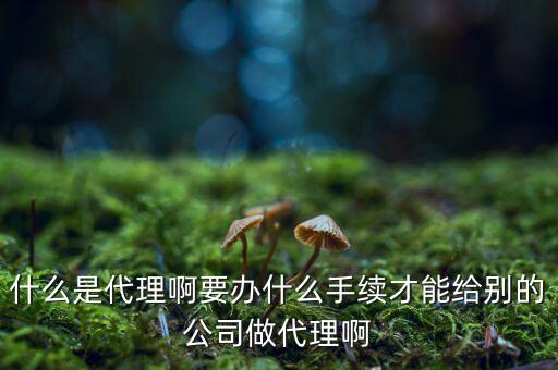 什么是代理啊要辦什么手續(xù)才能給別的公司做代理啊