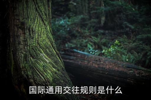 國際通用交往規(guī)則是什么