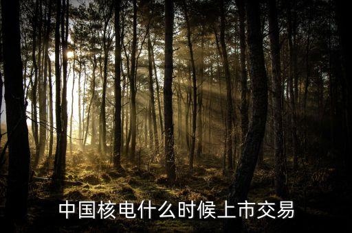 什么時(shí)候宣布中英核電簽約，中萄聯(lián)合聲明簽訂于什么時(shí)期