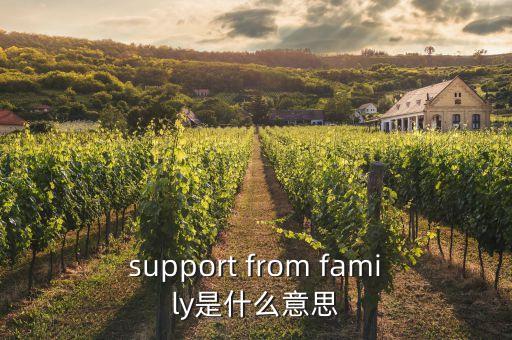 韓國繼續(xù)家庭是什么意思，韓國的宗家是什么意思怎么理解阿有什么樣的歷史