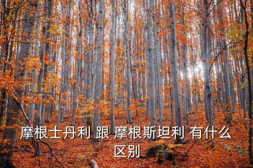 摩根士丹利 跟 摩根斯坦利 有什么區(qū)別