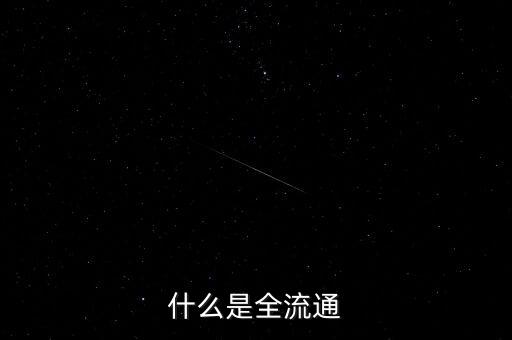 什么是全流通