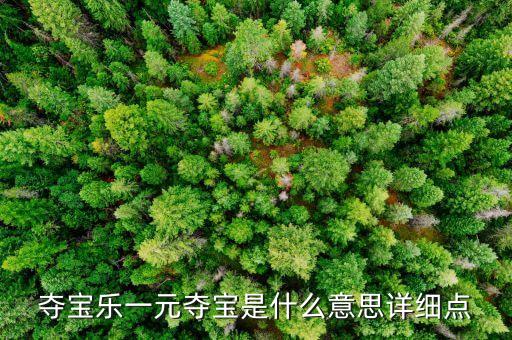 奪寶樂(lè)一元奪寶是什么意思詳細(xì)點(diǎn)