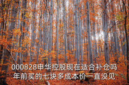 000828申華控股現(xiàn)在適合補(bǔ)倉嗎年前買的七塊多成本價一直沒見