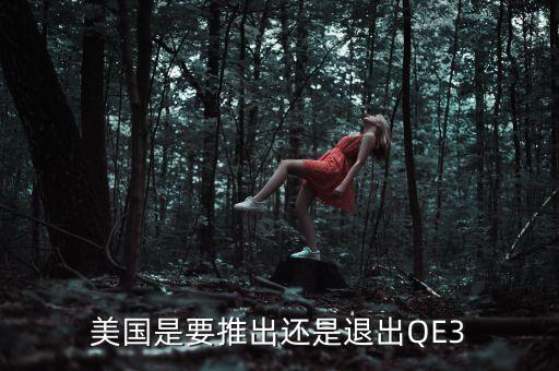 美國是要推出還是退出QE3