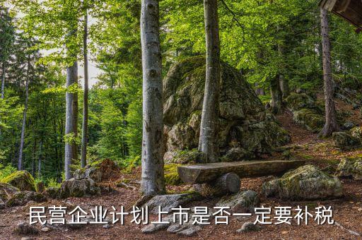 民營企業(yè)計劃上市是否一定要補稅