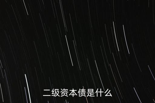 二級資本債是什么