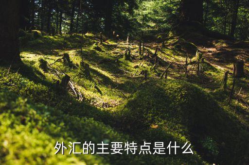 外匯的主要特點(diǎn)是什么，外匯的主要特點(diǎn)是什么