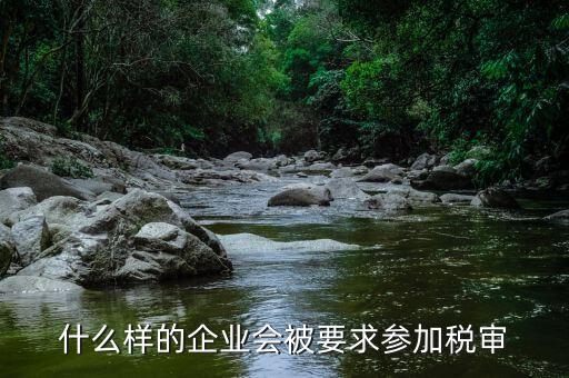 什么樣的企業(yè)容易被稽查，什么樣的企業(yè)會被要求參加稅審