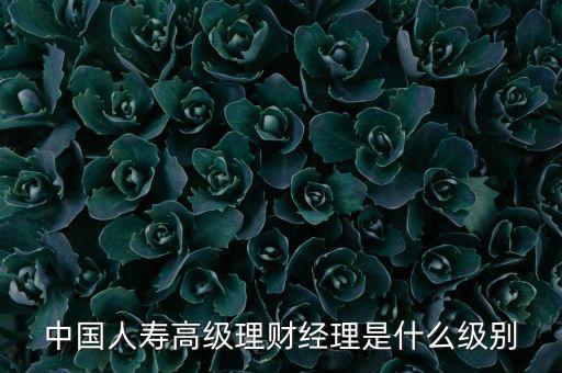 高級財(cái)富經(jīng)理是干什么的，中國人壽高級理財(cái)經(jīng)理是什么級別