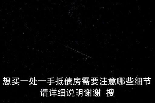想買一處一手抵債房需要注意哪些細(xì)節(jié)請詳細(xì)說明謝謝  搜