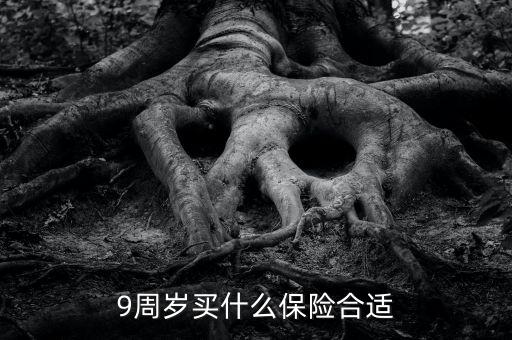 9周歲買什么保險(xiǎn)合適