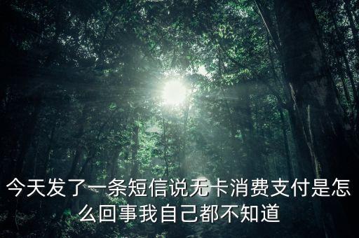 無卡消費是什么意思，無卡支付小手刷卡頭支付和大POS機支付的區(qū)別