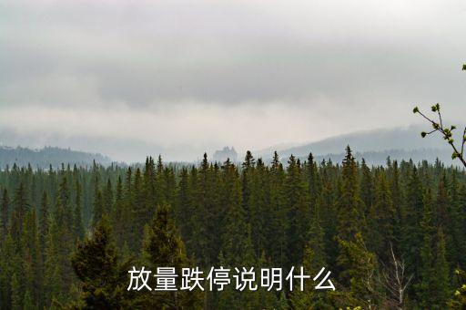 放量跌停說明什么